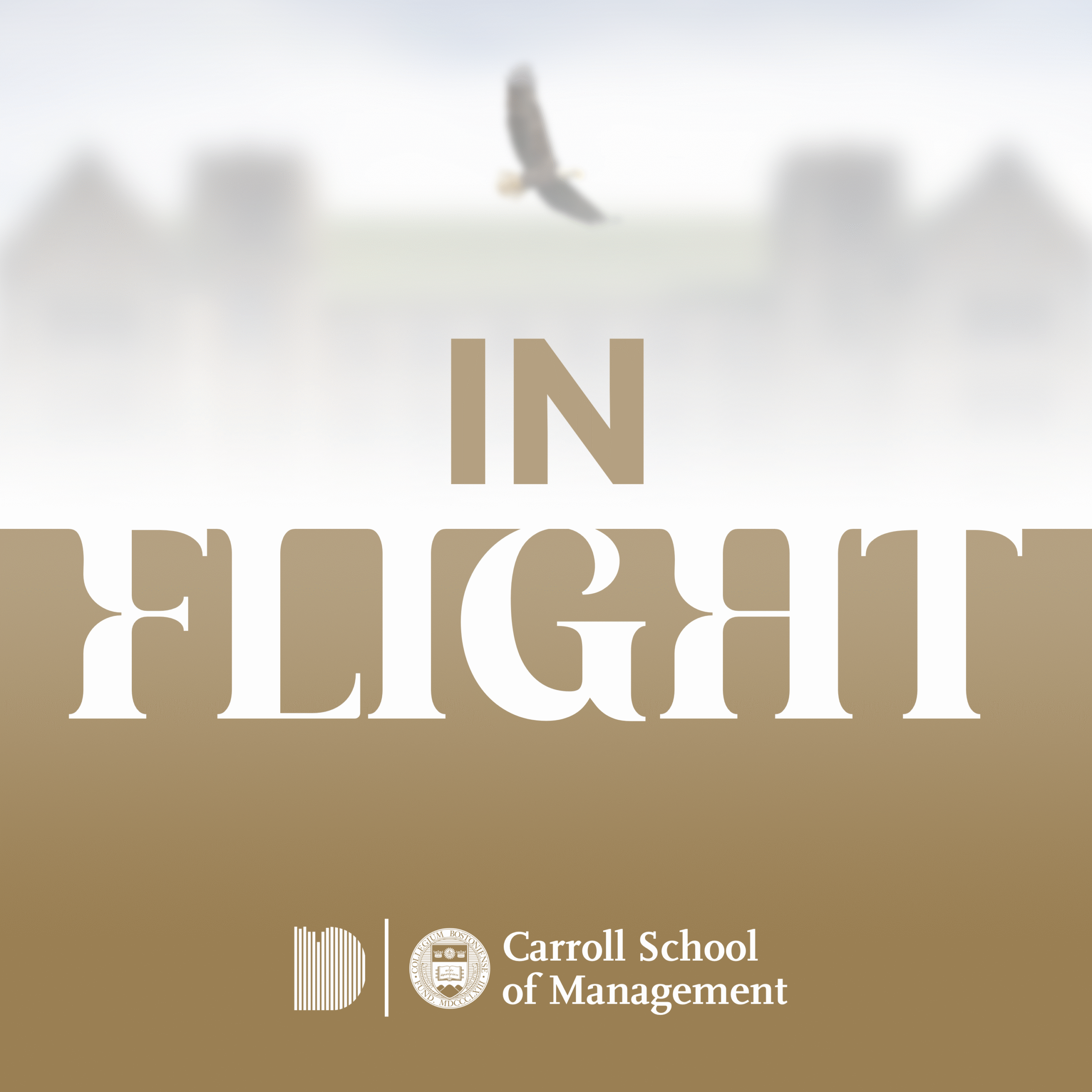 In Flight Album Art