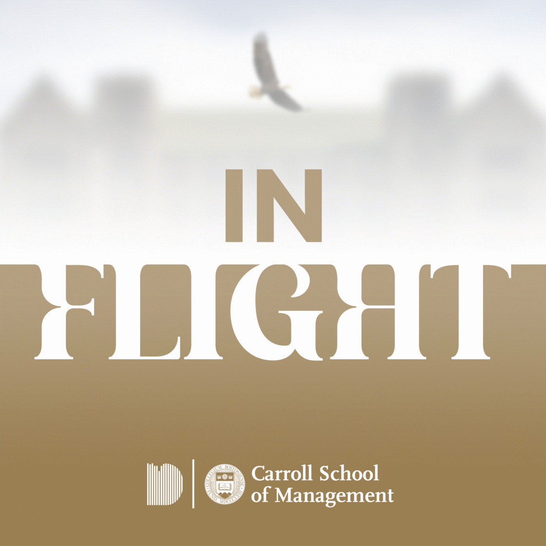 In Flight